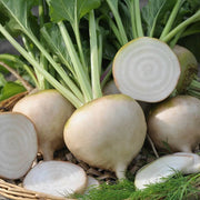 White Beetroot Seeds