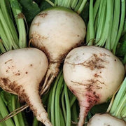 White Beetroot Seeds