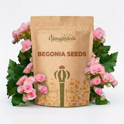Begonia Seeds – Begonia spp.