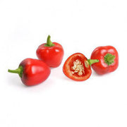 Red Mini Bell Pepper Seeds