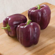 Purple Bell Pepper Seeds