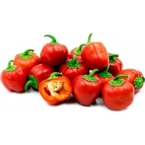 Red Mini Bell Pepper Seeds