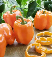 Orange Bell Pepper Seeds