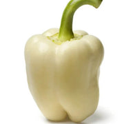 White Bell Pepper Seeds
