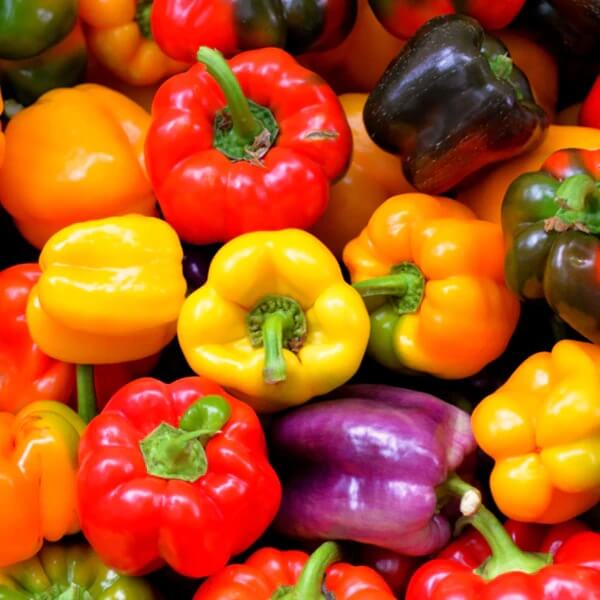 Rainbow Bell Pepper Seeds