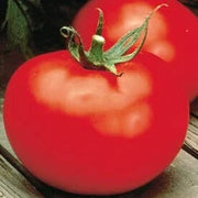 Better Boy Tomato Seeds