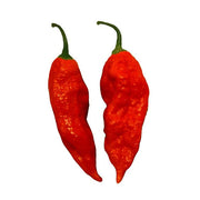 Ghost Pepper Seeds