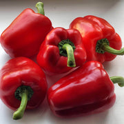 Red Bell Tomato Seeds