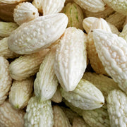 White Bitter Melon Seeds