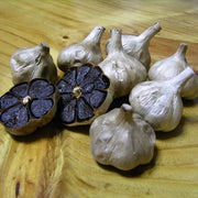 Black Garlic Seeds - Vegetable Plant