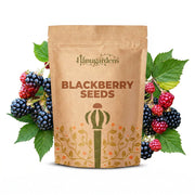 Blackberry Seeds – Rubus fruticosus