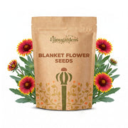 Blanket Flower Seeds – Gaillardia aristata
