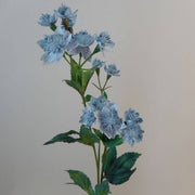 Wildflower Mix Blue Masterwort Seeds