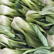 Canton Bok Choy Seeds