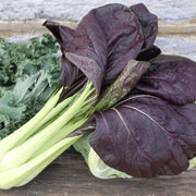 Black Bok Choy Seeds