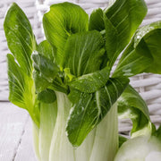 Canton Bok Choy Seeds