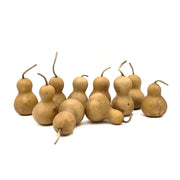 Brown Bottle Gourd Seeds
