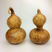 Brown Bottle Gourd Seeds