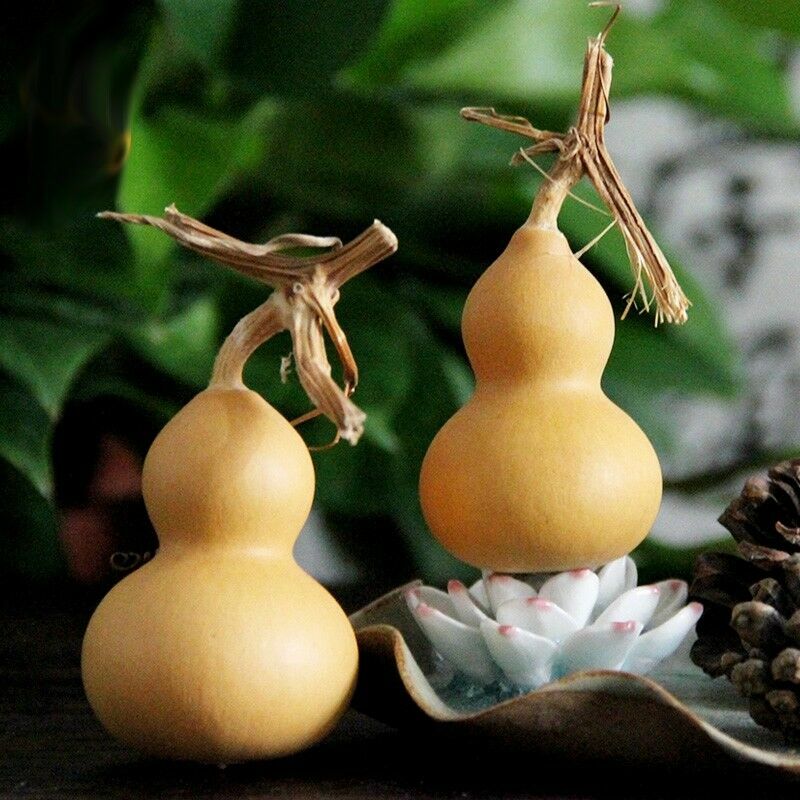 Brown Bottle Gourd Seeds