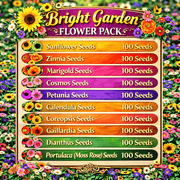 Bright Garden Flower Pack Seeds