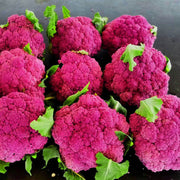 Pink Broccoli Seeds