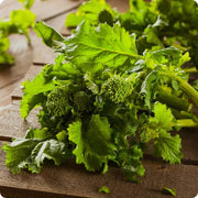 Rapini Broccoli Raab Seeds