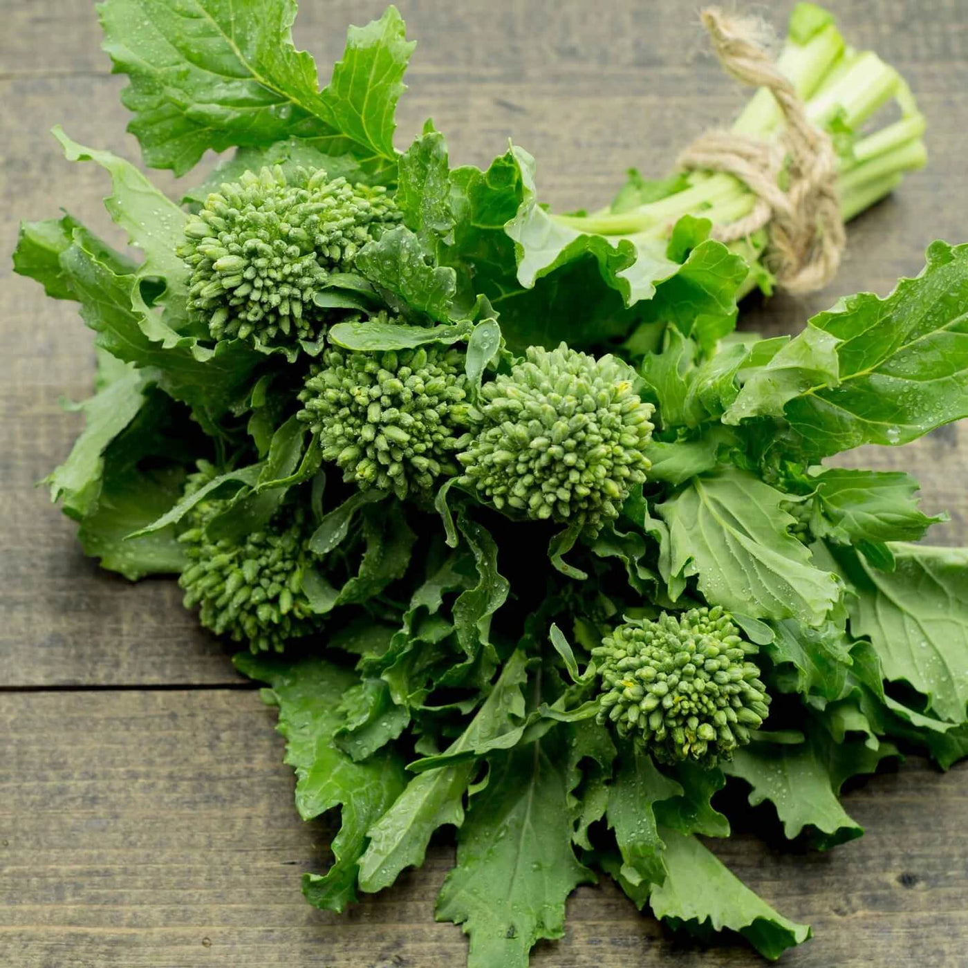 Rapini Broccoli Raab Seeds