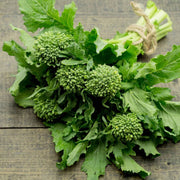 Rapini Broccoli Raab Seeds