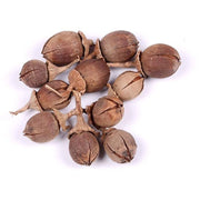 Brown Myrtle Seeds - Herbal Seeds