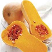 Yellow Butternut Squash Seeds