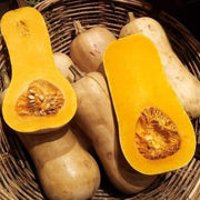 Yellow Butternut Squash Seeds