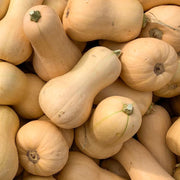 Waltham Butternut Squash Seeds