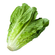 Gem Romaine Lettuce Seeds