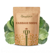 Cabbage Seeds – Brassica oleracea var. capitata