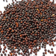 Cabbage Seeds - All In One For Home Gardens