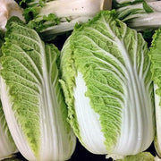 Michihili Cabbage Seeds
