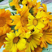Resina Calendula Seeds