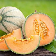 Cucumis melon Cantaloupe Seeds