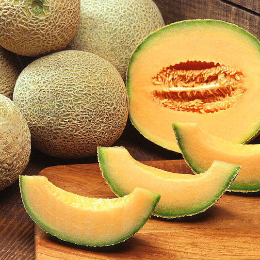 Cucumis melon Cantaloupe Seeds