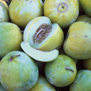 Blue Cantaloupe Seeds