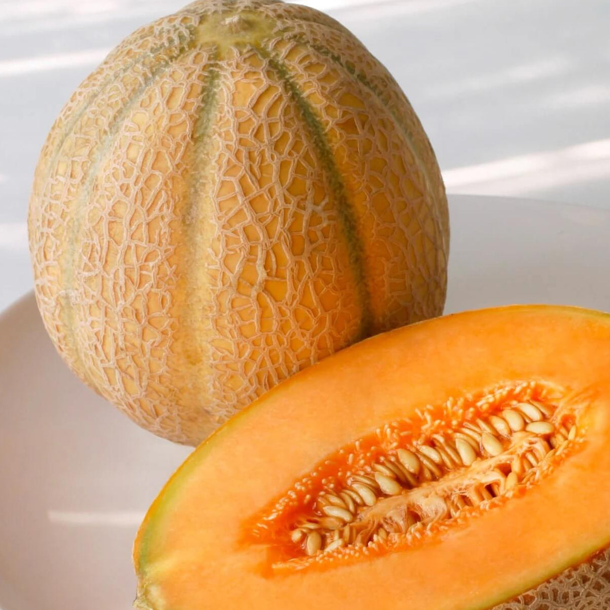 Orange antaloupe Seeds