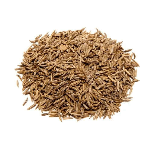 Arterner Caraway cumin Seeds, Herbal