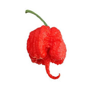 High Heat Carolina Reaper Pepper Seeds
