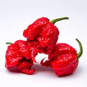 High Heat Carolina Reaper Pepper Seeds