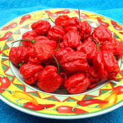High Heat Carolina Reaper Pepper Seeds