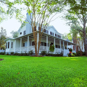 Carpet Lawn Grass Seeds - Flower Plant