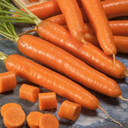 Bambina Carrot Seeds