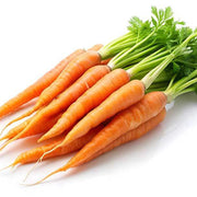 Little Finger Carrot Seeds