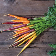 Multi-Colored Mix Carrot Seeds