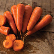 Red Cored Chantenay Carrot Seeds